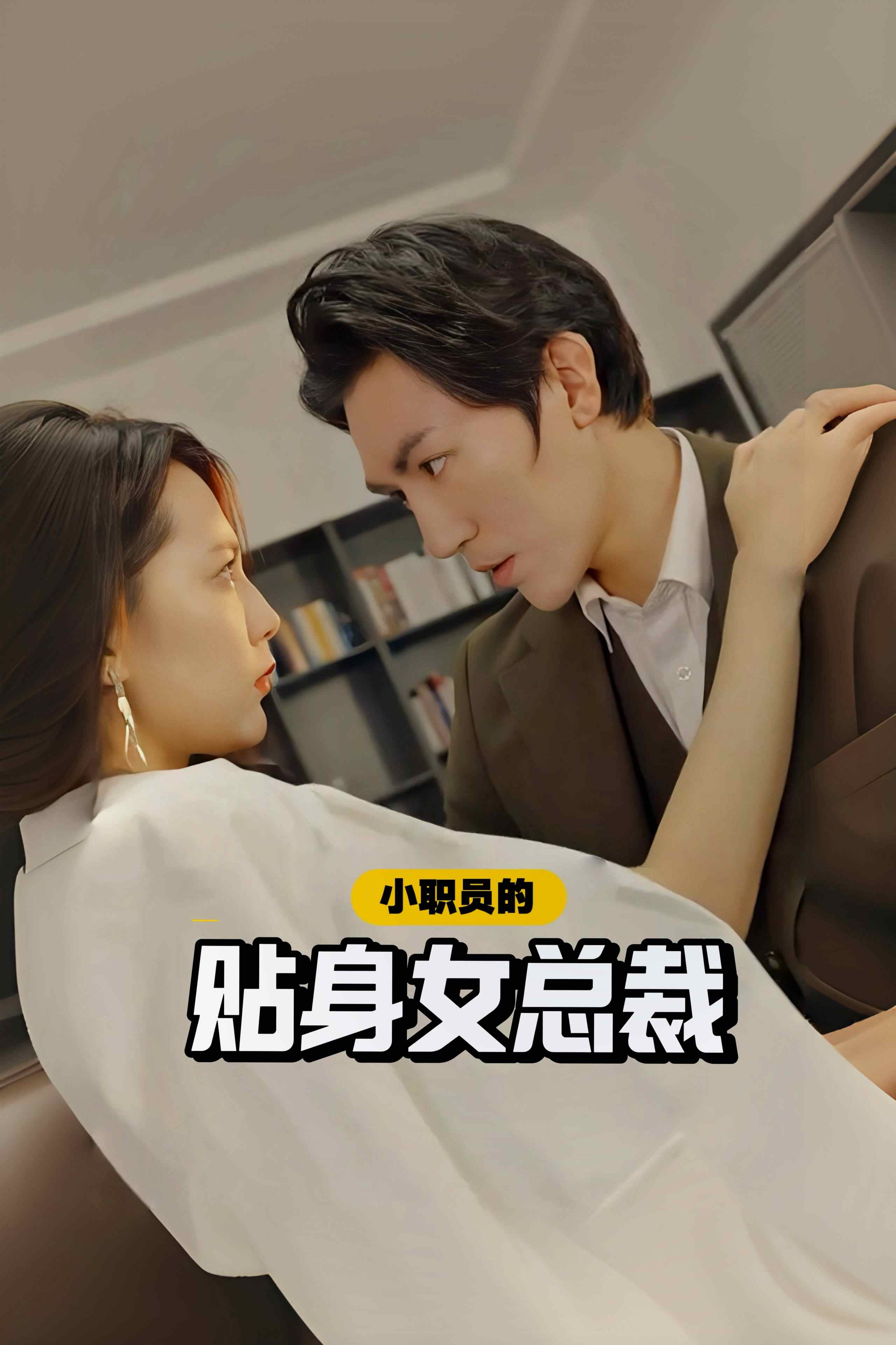 Poster 小职员的贴身女总裁